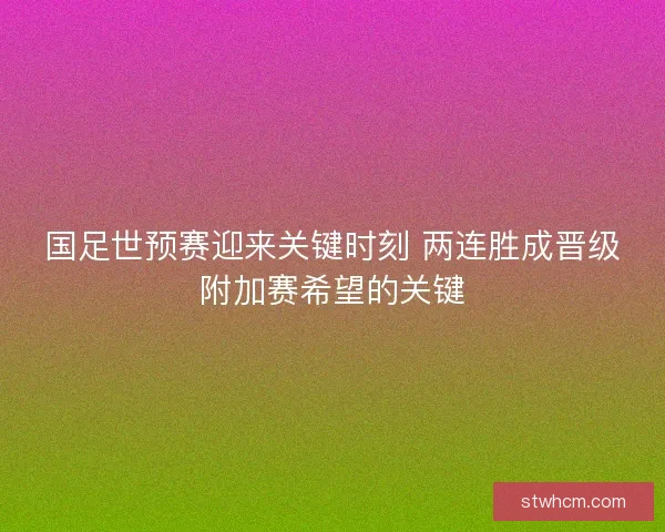 国足世预赛迎来关键时刻 两连胜成晋级附加赛希望的关键
